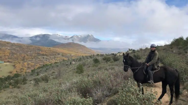 Madrid: Horse Riding Sierra del Guadarrama National Park