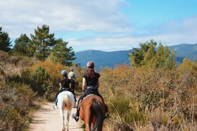 Madrid: Horse Riding Sierra del Guadarrama National Park