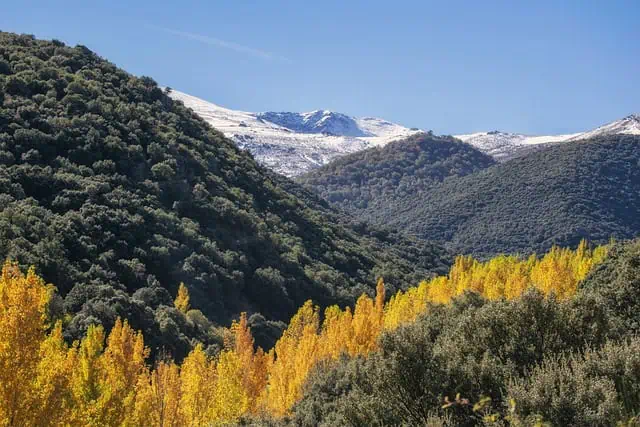 Madrid: Horse Riding Sierra del Guadarrama National Park