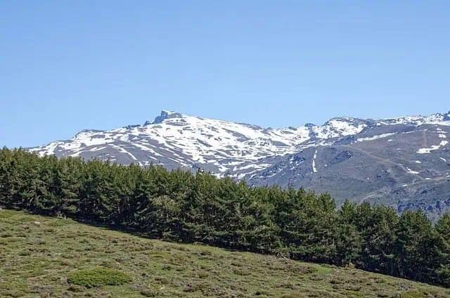 Madrid: Horse Riding Sierra del Guadarrama National Park